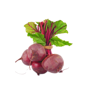 BEET ROOT - الشمندر