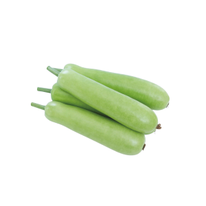 BOTTLE GOURD القرع الأخضر