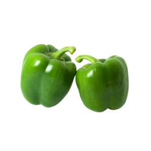 CAPSICUM GREEN - فلفل حلو أخضر