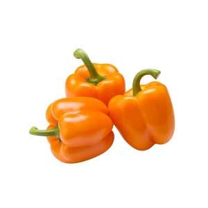 CAPSICUM ORANGE - فلفل حلو برتقالي