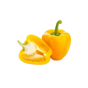 CAPSICUM YELLOW - فلفل حلو أصفر