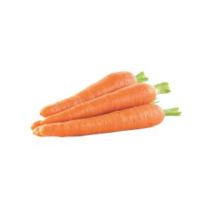 CARROT - الجزر