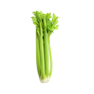 CELERY - سيليري