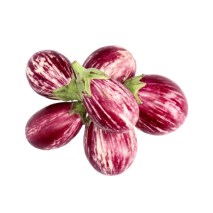 EGG PLANT MAKDOOS - باذنجان مقدوس موشح