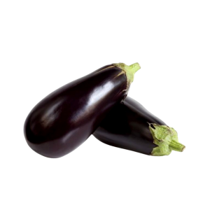 EGG PLANT - الباذنجان الأسود