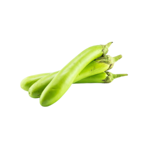 EGGPLANT GREEN LONG - باذنجان محاشي أخضر