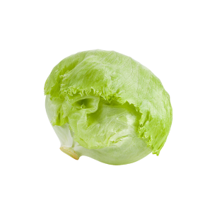 LETTUCE ICEBERG - خس ايسبرغ