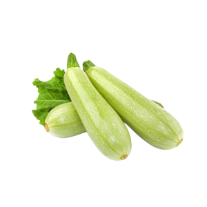 MARROW ZUCCHINI الكوســا