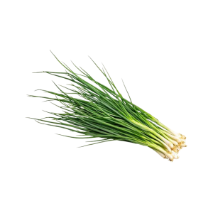 ONION SPRING - البصل الأخضر