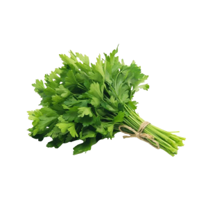 PARSLEY - البقدونس