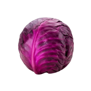 RED CABBAGE - الملفوف الأحمر