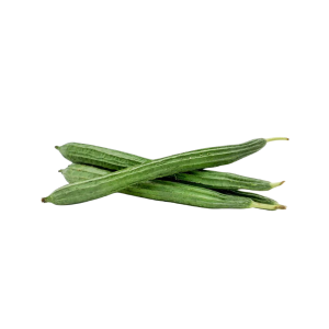 RIDGE GOURD - الزنجا