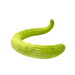 SNAKE CUCUMBER القثاء
