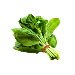 SPINACH - السبانخ