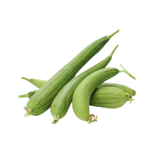 SPOUNGE GOURD - الجورا