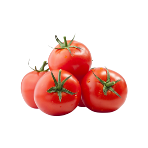 TOMATO الطماطم