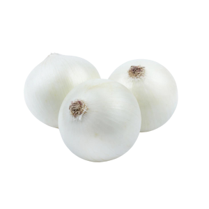 WHITE ONION - البصل الأبيض