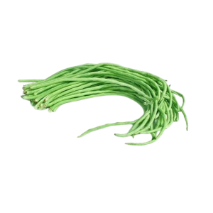 beans - LUBYA اللوبياء