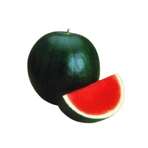 watermelon sugar BABY - بيطخ مدور